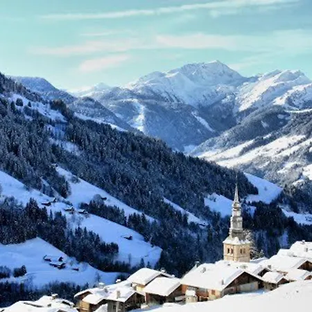 Mazot Savoyard A Hauteluce: Ideal Pour Couple, Proche Commerces Et Ski, Bien Equipe - Fr-1-342-263 Chalet Hauteluce